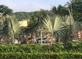 Hai nhóm giang hồ ở Hải Phòng hỗn chiến, 3 người thương vong