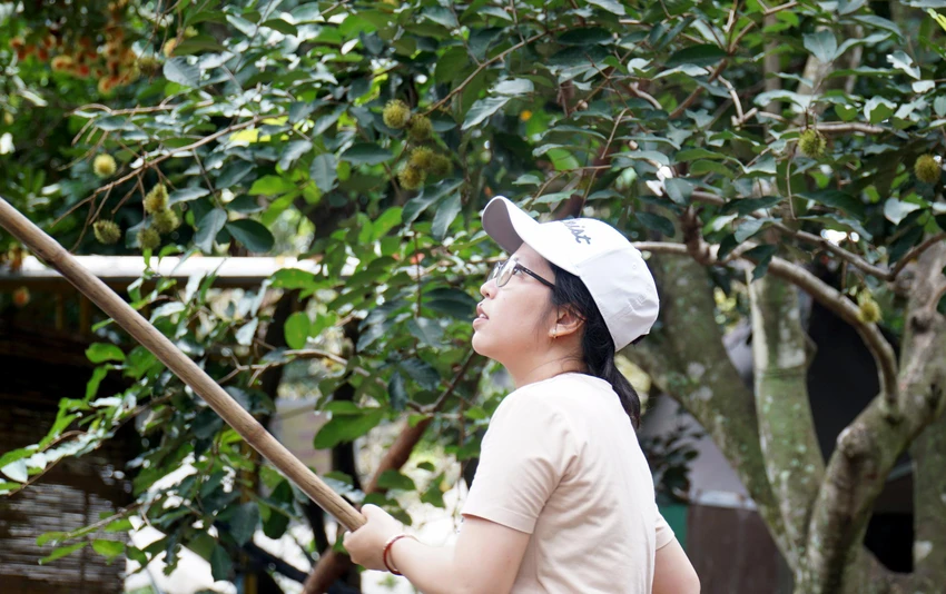 Du khách thích thú tự tay hái trái cây, thưởng thức tại vườn. Ảnh: HH. Du khách thích thú tự tay hái trái cây, thưởng thức tại vườn. Ảnh: HH.