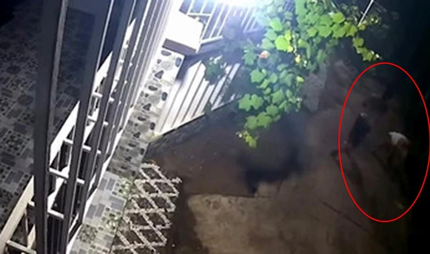 Đức cầm dao chém liên tiếp vào người ông M. Ảnh cắt từ clip. giet-nguoi-o-khanh-hoa