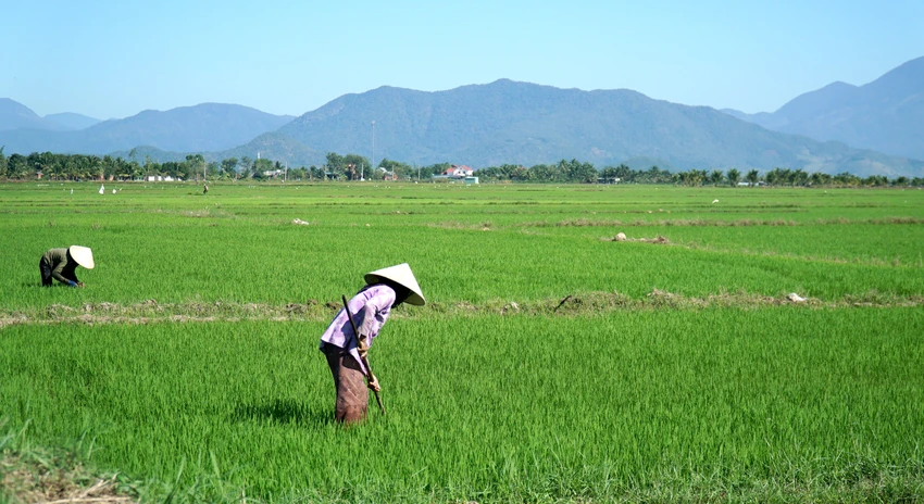Ông Xưng cho biết quy hoạch thủy lợi tỉnh Ninh Thuận đến năm 2020, tầm nhìn đến năm 2030 thích ứng biến đổi khí hậu cũng đã đề xuất các giải pháp thủy lợi trên Sông Lu như xây dựng hồ chứa nước Phước Hà, Tân Giang 2 và xây dựng công trình kết nối liên thông cụm hồ Tân Giang – Phước Hà- Sông Biêu – Suối Lớn; xây dựng hồ chứa nước Ô Căm chuyển nước về suối Ngang lưu vực hồ Phước Trung và xây dựng kênh chuyển nước từ hồ Phước Trung về hồ Thành Sơn.... Bên cạnh đó, đầu tư xây dựng, nâng cấp cải tạo một số hệ thống thủy lợi hiện có để phấn đấu đến năm 2030 đảm bảo lượng nước cấp của các công trình thủy lợi cho các ngành kinh tế toàn tỉnh là 1.427 triệu m3 nước. Ông Xưng cho biết quy hoạch thủy lợi tỉnh Ninh Thuận đến năm 2020, tầm nhìn đến năm 2030 thích ứng biến đổi khí hậu cũng đã đề xuất các giải pháp thủy lợi trên Sông Lu như xây dựng hồ chứa nước Phước Hà, Tân Giang 2 và xây dựng công trình kết nối liên thông cụm hồ Tân Giang – Phước Hà- Sông Biêu – Suối Lớn; xây dựng hồ chứa nước Ô Căm chuyển nước về suối Ngang lưu vực hồ Phước Trung và xây dựng kênh chuyển nước từ hồ Phước Trung về hồ Thành Sơn.... Bên cạnh đó, đầu tư xây dựng, nâng cấp cải tạo một số hệ thống thủy lợi hiện có để phấn đấu đến năm 2030 đảm bảo lượng nước cấp của các công trình thủy lợi cho các ngành kinh tế toàn tỉnh là 1.427 triệu m3 nước.
