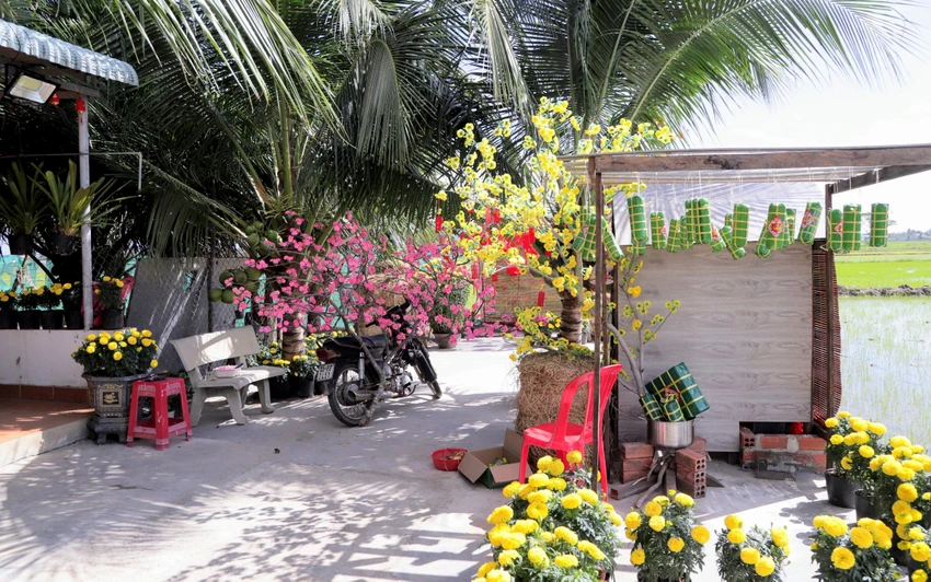 Cảnh khu vườn ánh lên sắc xuân với hoa mai, đào và bánh chưng, bánh tét. Ảnh: NÚI XANH Cảnh khu vườn ánh lên sắc xuân với hoa mai, đào và bánh chưng, bánh tét. Ảnh: NÚI XANH