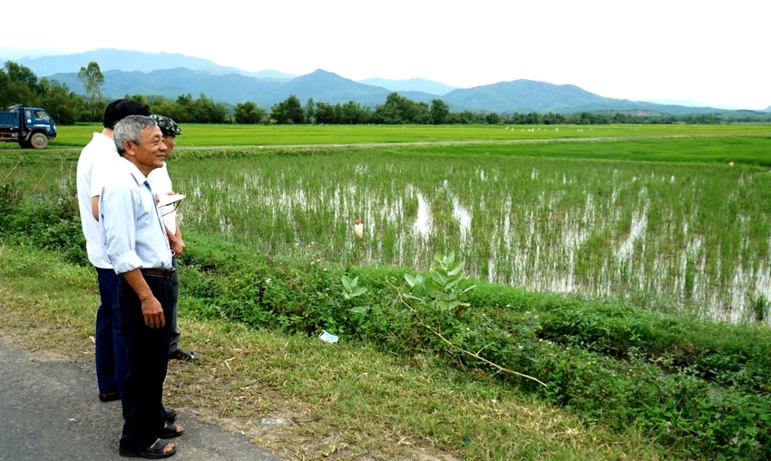 Ông Nguyễn Ngọc Châu trước thửa ruộng đã bàn giao. Ảnh: HH. Ông Nguyễn Ngọc Châu trước thửa ruộng đã bàn giao. Ảnh: HH.