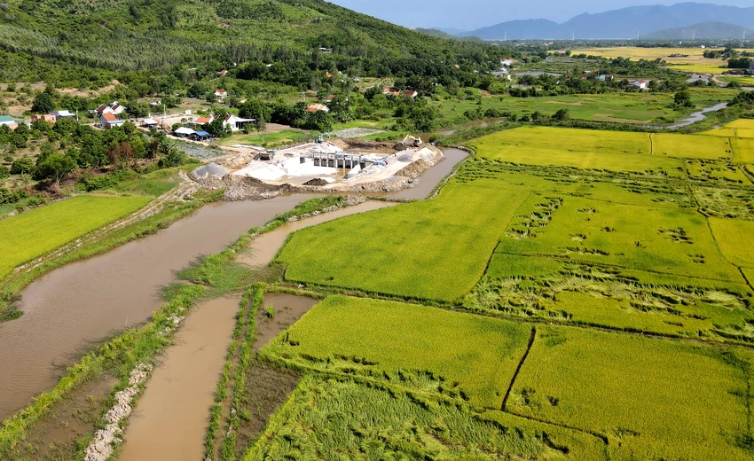 HĐND tỉnh Khánh Hòa được chuyển đổi mục đích đất trồng lúa quy mô dưới 500 ha. Ảnh: HH HĐND tỉnh Khánh Hòa được chuyển đổi mục đích đất trồng lúa quy mô dưới 500 ha. Ảnh: HH