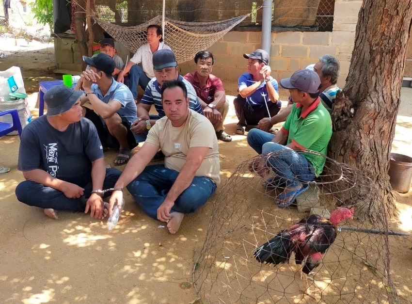 Những người liên quan đến tụ điểm đá gà ở thôn Từ Thiện bị tạm giữ. Ảnh: C.A Những người liên quan đến tụ điểm đá gà ở thôn Từ Thiện bị tạm giữ. Ảnh: C.A