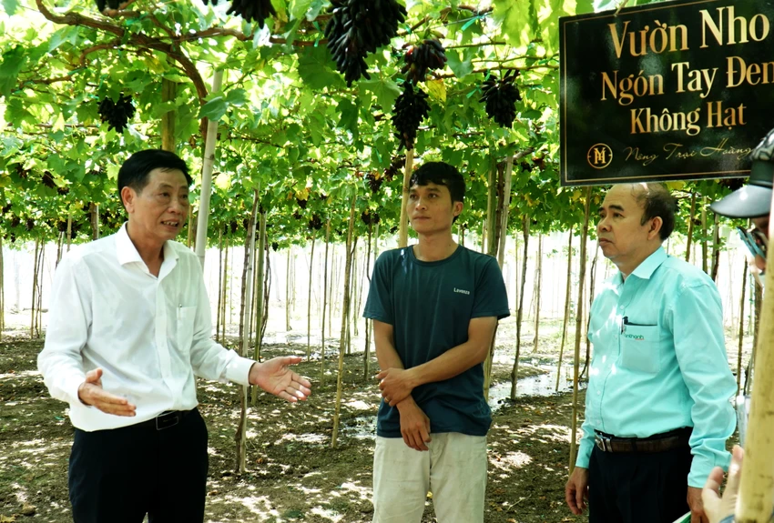 Ông Đặng Kim Cương, Giám đốc Sở NN&amp;PTNT tỉnh Ninh Thuận, trao đổi việc ứng dụng công nghệ cao vào trồng nho. Ảnh: H.H