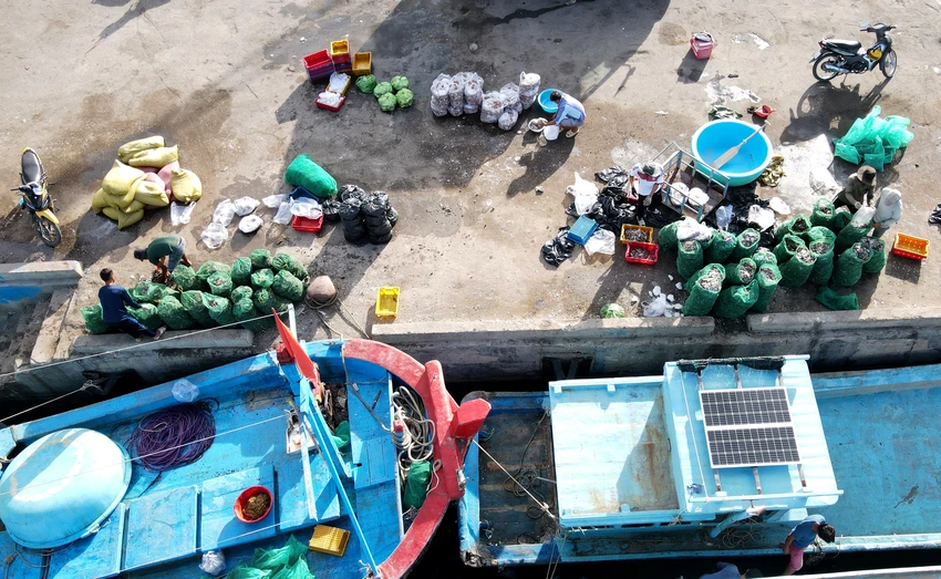 Kinh tế biển được xác định là động lực phát triển của Ninh Thuận. Giai đoạn năm 2016-2021, tốc độ tăng trưởng kinh tế biển của tỉnh đạt 18,6%/năm, tỉ trọng đóng góp GRDP năm 2022 đạt 40,71%. Kinh tế biển được xác định là động lực phát triển của Ninh Thuận. Giai đoạn năm 2016-2021, tốc độ tăng trưởng kinh tế biển của tỉnh đạt 18,6%/năm, tỉ trọng đóng góp GRDP năm 2022 đạt 40,71%.