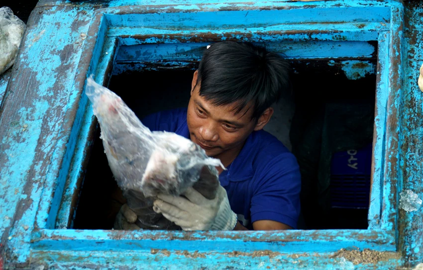 Ngư dân này cho hay chuyến đi biển này đánh bắt được các loại hải sản như cá bò da, bò hòm, mú hồng, tôm... Chuyến biển không có lãi lớn nhưng cũng đủ các chi phí và chia cho bạn thuyền. Ngư dân này cho hay chuyến đi biển này đánh bắt được các loại hải sản như cá bò da, bò hòm, mú hồng, tôm... Chuyến biển không có lãi lớn nhưng cũng đủ các chi phí và chia cho bạn thuyền.