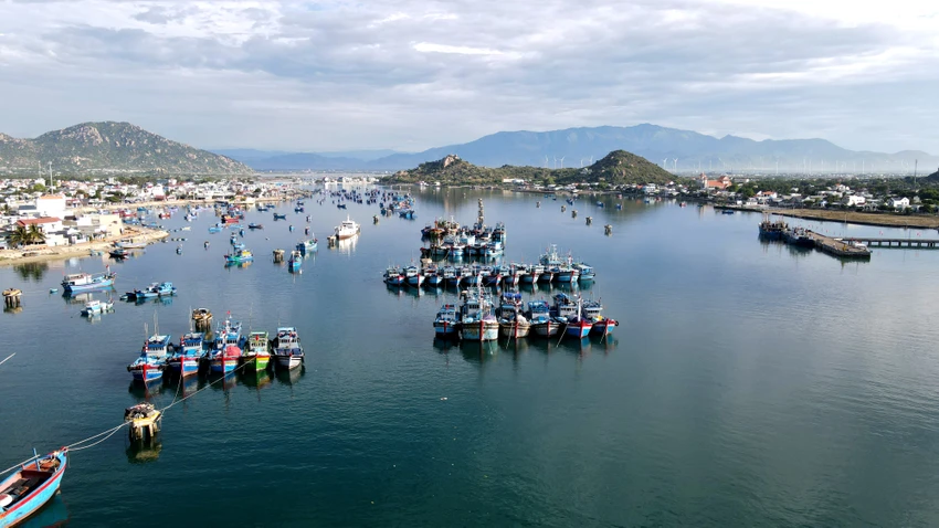 Ninh Thuận là tỉnh thuộc vùng Duyên hải Nam Trung bộ. Đây là một trong 28 tỉnh, thành ven biển cả nước có bờ biển dài hơn 105 km và vùng lãnh hải hơn 18.000 km2. Ninh Thuận là tỉnh thuộc vùng Duyên hải Nam Trung bộ. Đây là một trong 28 tỉnh, thành ven biển cả nước có bờ biển dài hơn 105 km và vùng lãnh hải hơn 18.000 km2.