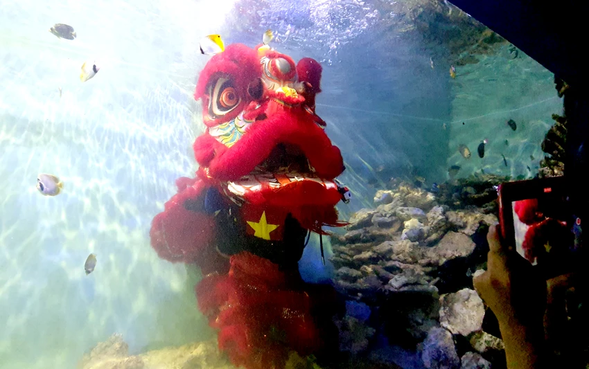 mua-lan-duoi-nuoc-1.jpg