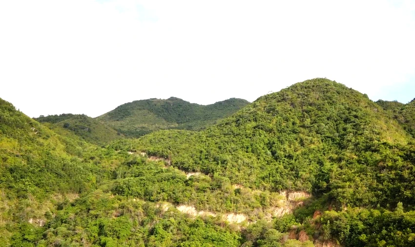 Sở tn&mt.jpg