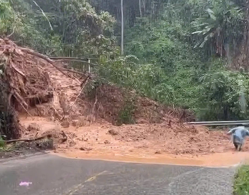đèo sông pha.jpg