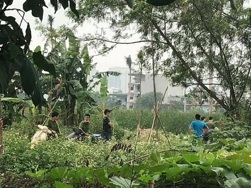 Kinh hãi thi thể đang phân huỷ trong bụi chuối ảnh 1