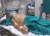 Suýt chết vì bị heo đạp, gà mổ chơi chơi