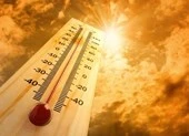 5 loại thực phẩm giúp da tự tin 'đương đầu' với nắng