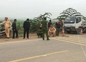 Vụ xe khách lao vào đoàn người đưa tang: Đã có 7 người chết