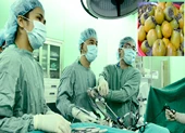 Nhập viện cấp cứu sau khi ăn 10 trái hồng liên tục