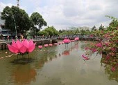Ngắm hoa sen 7 màu 'mọc' trên kênh Nhiêu Lộc mừng Phật đản