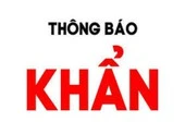Khẩn: TP.HCM tìm người đi cùng chuyến bay VN213 ngày 28-1