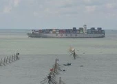 TP.HCM phát hiện 9 người dương tính COVID-19 trên tàu từ Ấn Độ