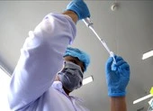 Công ty Nanogen xin Thủ tướng cấp phép khẩn cho vaccine Nanocovax