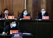 Lập luận của luật sư bà Dương Thị Bạch Diệp 