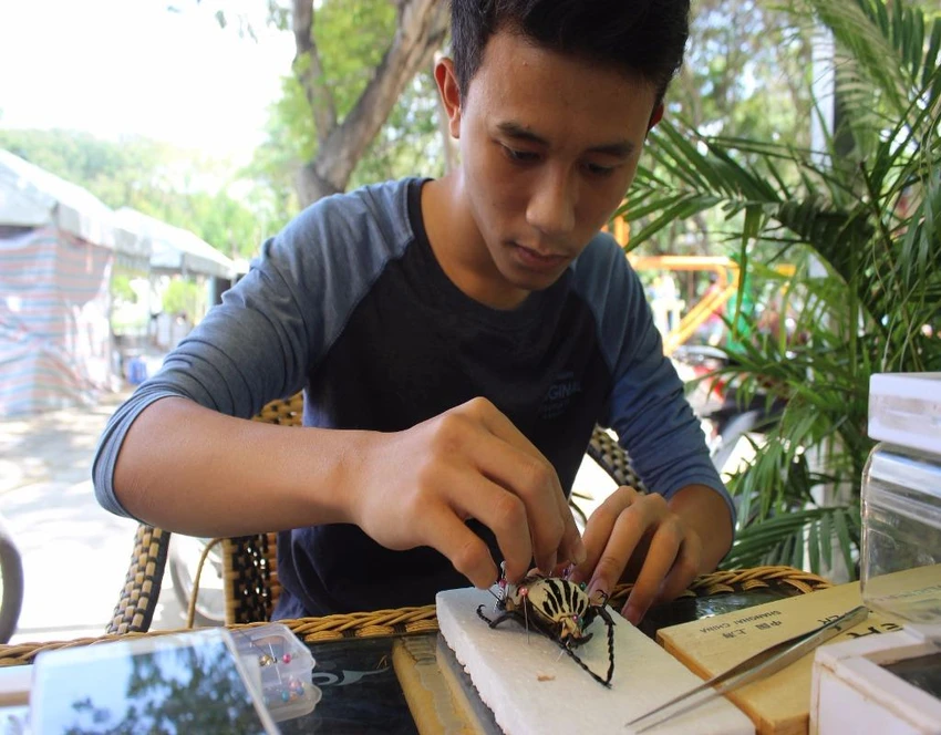 làm tiêu bản. 