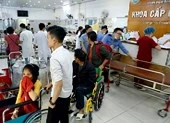 Bệnh nhân ngộ độc rượu tăng cao dịp Tết Kỷ Hợi