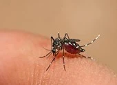 6 hiểu lầm 'chết người' về bệnh sốt xuất huyết
