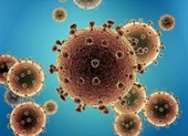 Dịch Corona: Lý do đặt tên virus là COVID-19