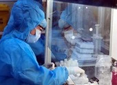 Trưa 31-5: Có 68 ca COVID-19, Long An, Đắk Lắk 3 ca cộng đồng
