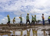 Bộ Xây dựng thành lập tổ công tác đặc biệt tại TP.HCM hỗ trợ chống dịch 