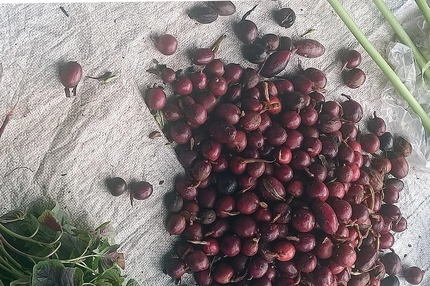 Những sản vật địa phương tại các chợ phiên. Ảnh: NÚI XANH