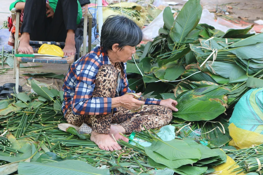 tieu-thuong-cat-tia-la-dong.jpg