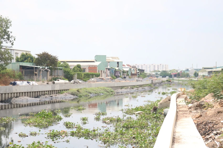 du-an-kenh-tham-luonh.jpg