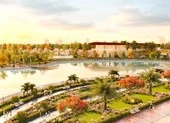 Đi tìm kênh đầu tư sinh lời trong mùa dịch COVID-19