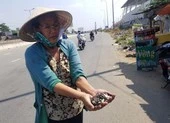 Yêu cầu xử nghiêm 'đinh tặc' lộng hành trên quốc lộ 1