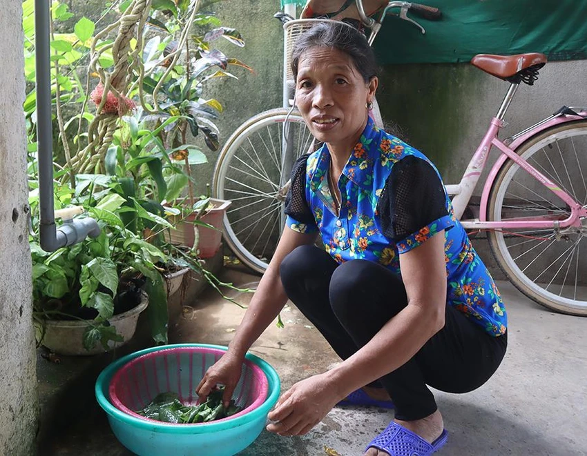 Cuộc sống thường ngày của mẹ Việt Nam anh hùng Nguyễn Thị Kim. Ảnh: ĐẮC LAM Cuộc sống thường ngày của mẹ Việt Nam anh hùng Nguyễn Thị Kim. Ảnh: ĐẮC LAM