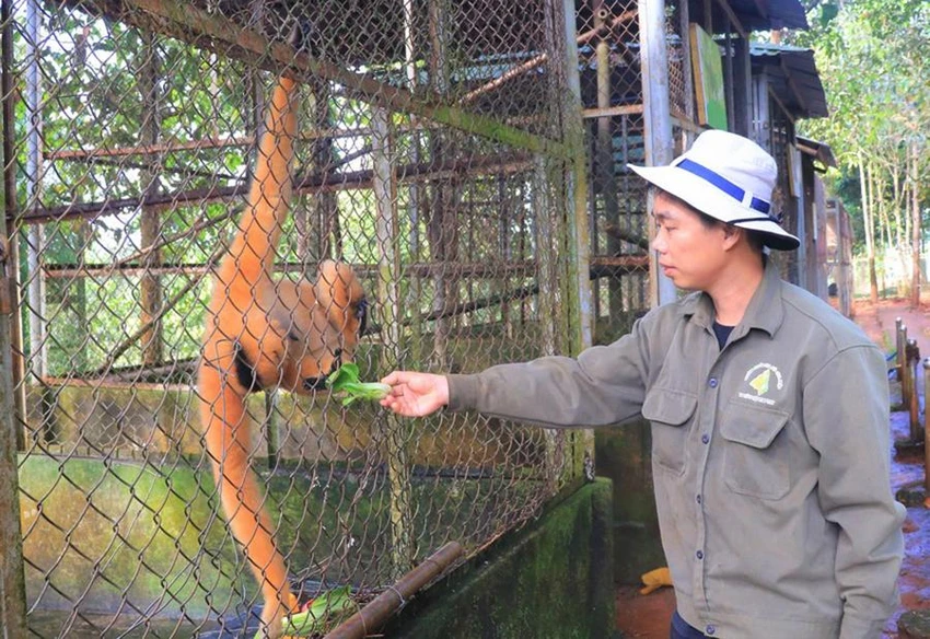 Phát chăm sóc tận tình cho những con thú để chúng sớm được về với môi trường tự nhiên. Ảnh: VÕ THƠ Phát chăm sóc tận tình cho những con thú để chúng sớm được về với môi trường tự nhiên. Ảnh: VÕ THƠ