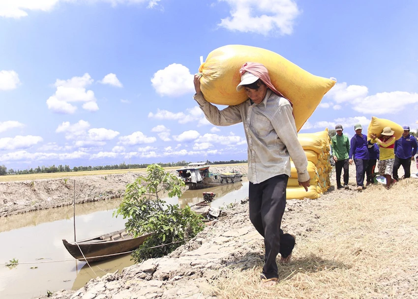 Ông Nguyễn Văn Bé Hai hiểu rất rõ khó khăn, nhọc nhằn của nghề bốc vác. Ảnh: HUỲNH DU