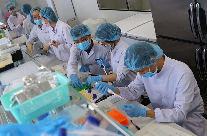 p10-kinh te tphcm.jpg