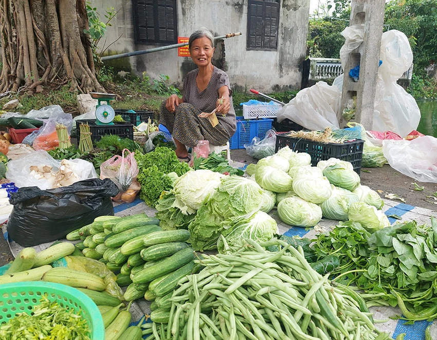 P11_hinhbai.jpg