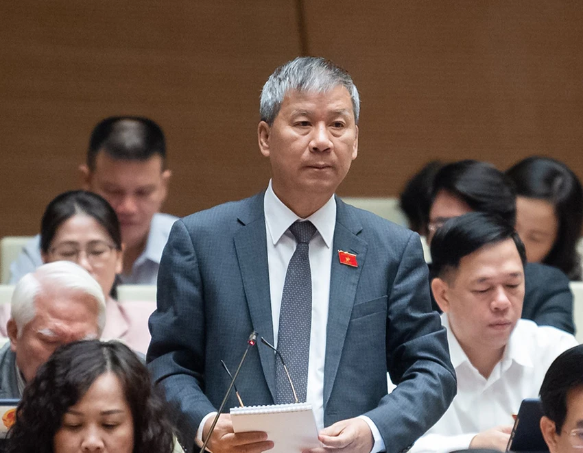 P2+3-nguyen-anh-tri.jpg