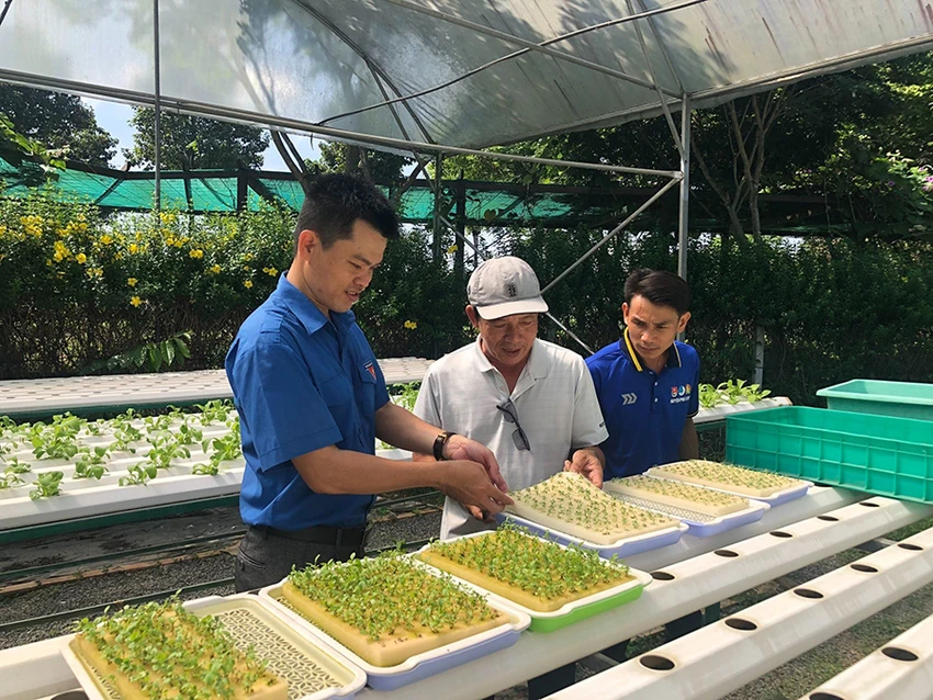 Anh Lưu tập huấn kỹ thuật ứng dụng công nghệ cao trong nông nghiệp cho bà con nông dân tại các xã ở huyện Hóc Môn