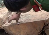 Xác định nhóm nghi can phá rừng đặc dụng Nam Kar