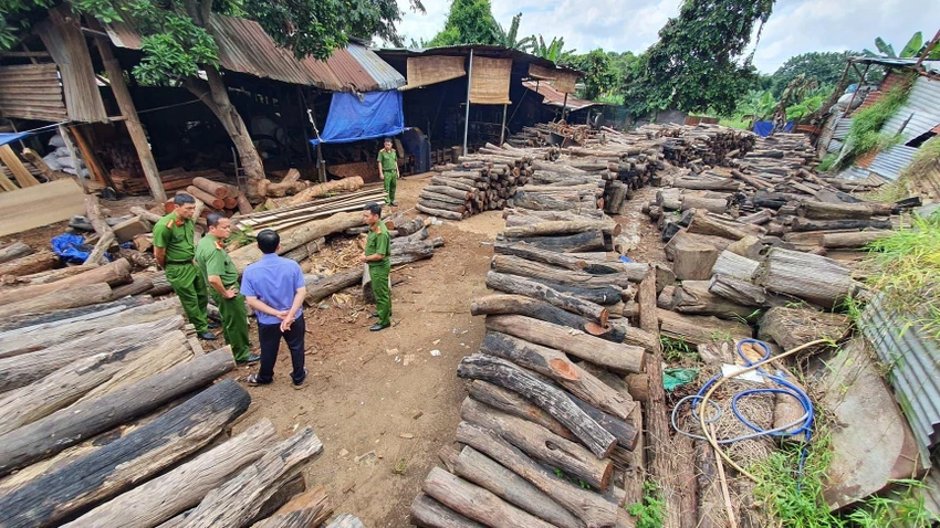 Lực lượng chức năng đang kiểm đếm số gỗ không có giấy tờ nguồn gốc. Ảnh AĐ Lực lượng chức năng đang kiểm đếm số gỗ không có giấy tờ nguồn gốc. Ảnh AĐ