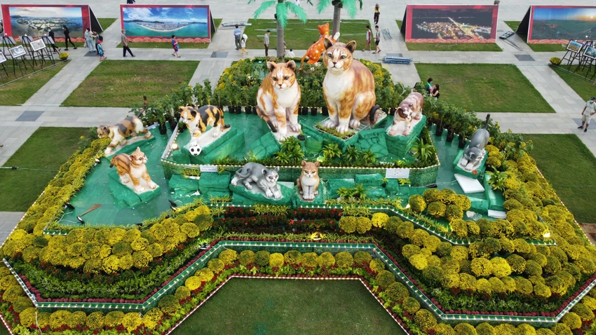 Biểu tượng linh vật tỉnh Bình Định Xuân Quý Mão 2023 gồm chín con mèo, thể hiện gia đình mèo sum vầy bên nhau. Ảnh QNB Biểu tượng linh vật tỉnh Bình Định Xuân Quý Mão 2023 gồm chín con mèo, thể hiện gia đình mèo sum vầy bên nhau. Ảnh QNB