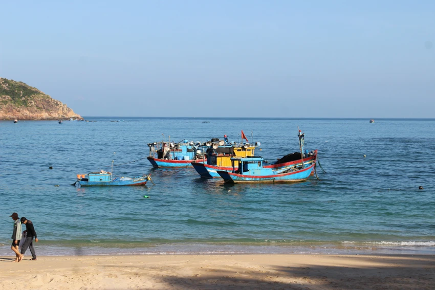Một khu nuôi biển ở Nhơn Hải, Quy Nhơn. Ảnh: NQ Một khu nuôi biển ở Nhơn Hải, Quy Nhơn. Ảnh: NQ