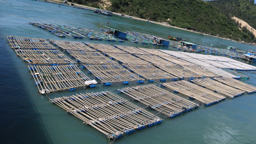 Việc người dân tự ý lấn chiếm mặt nước để nuôi trồng thuỷ sản ở Cát Khánh diễn ra trong hai năm gần đây. Ảnh: QN