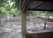 Bình Phước xuất hiện ổ dịch tả heo châu Phi