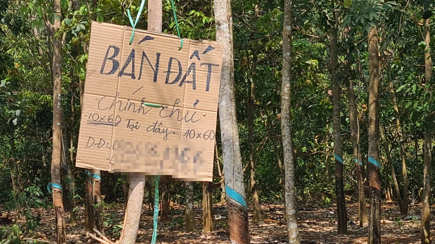 Tình trạng người đồng bào dân tộc thiểu số cầm cố, vay lãi nặng bán đất diễn ra khá phổ biến ở Bình Phước. Ảnh: LÊ ÁNH Tình trạng người đồng bào dân tộc thiểu số cầm cố, vay lãi nặng bán đất diễn ra khá phổ biến ở Bình Phước. Ảnh: LÊ ÁNH